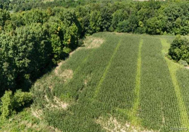 Photo 1 of Land for sale at Parcel 4 Sycamore St, Dryden Township Lapeer, MI 48428 | MLS# 20261049840 | Listing updated on 2026-07-06