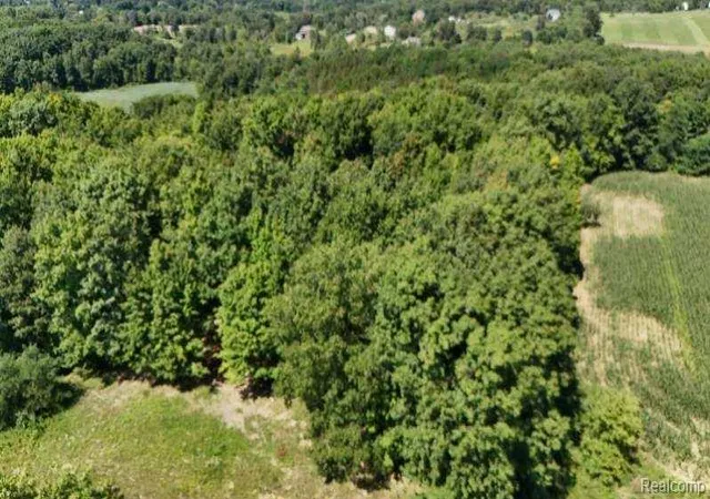 Photo 2 of Land for sale at Parcel 4 Sycamore St, Dryden Township Lapeer, MI 48428 | MLS# 20261049840 | Listing updated on 2026-07-06