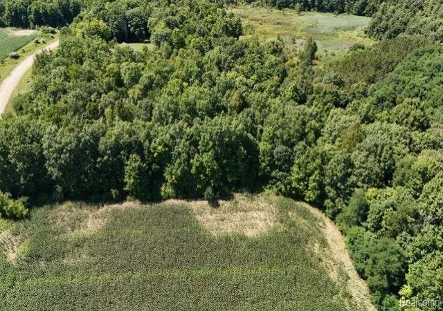 Photo 3 of Land for sale at Parcel 4 Sycamore St, Dryden Township Lapeer, MI 48428 | MLS# 20261049840 | Listing updated on 2026-07-06