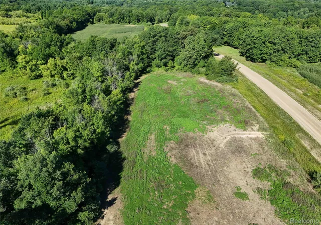Photo 8 of Land for sale at Parcel 1 Sycamore St, Dryden Township Lapeer, MI 48428 | MLS# 20261049844 | Listing updated on 2026-07-06