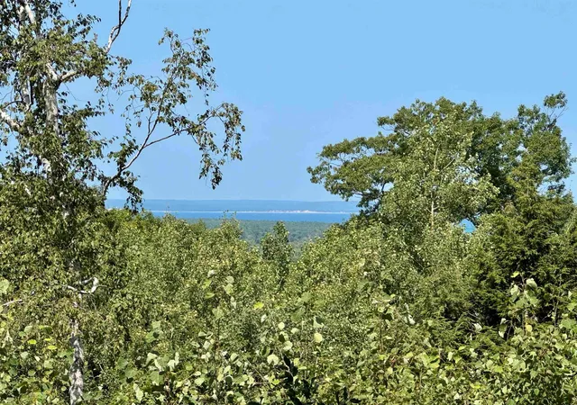 24th image of Lot 9 W Harbour Rdg, Maple City, MI 49664 | MLS# 78080070473