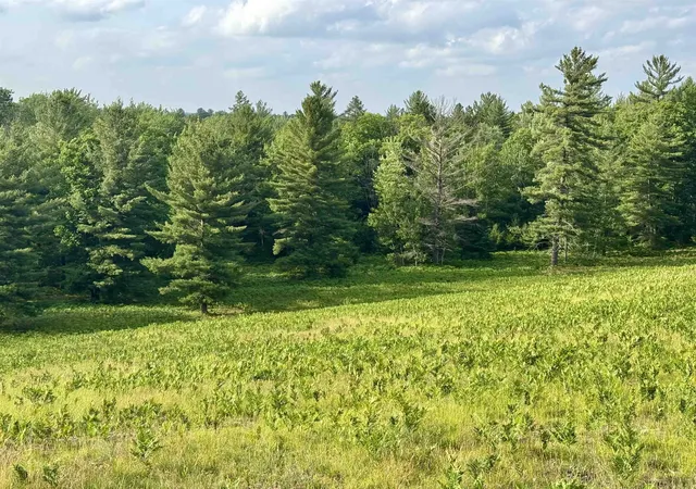 Photo 4 of Land for sale at 4264 SW Bald Eagles View, Boardman Township Kalkaska, MI 49680 | MLS# 78080070480 | Listing updated on 2026-07-06
