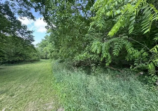 Land for sale at Tbd N Lincoln, StantonCity_Montcalm, MI 48888 | MLS# 79080070482