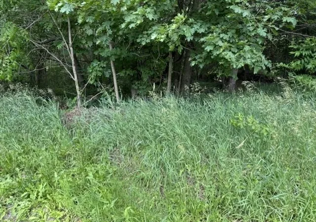 Photo 2 of Land for sale at Tbd N Lincoln, Stanton City Montcalm, MI 48888 | MLS# 79080070482 | Listing updated on 2026-07-04