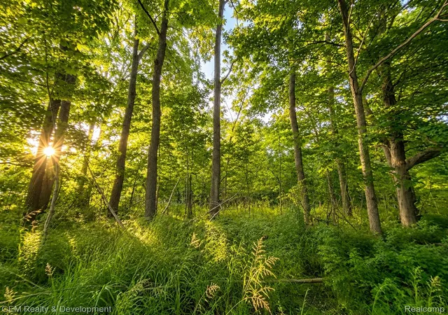 Photo 3 of Land for sale at 26652 Power Rd, Farmington Hills, MI 48334 | MLS# 20261049986 | Listing updated on 2026-08-16