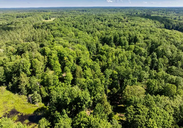 Photo 3 of Land for sale at Tbd Lake, Fife Lake Township Grand Traverse, MI 49633 | MLS# 78080070523 | Listing updated on 2026-07-04