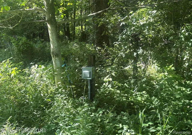 Photo 2 of Single family home for sale at 7280 North Rd, Burtchville, MI 48059 | MLS# 20261050172 | Listing updated on 2026-09-13