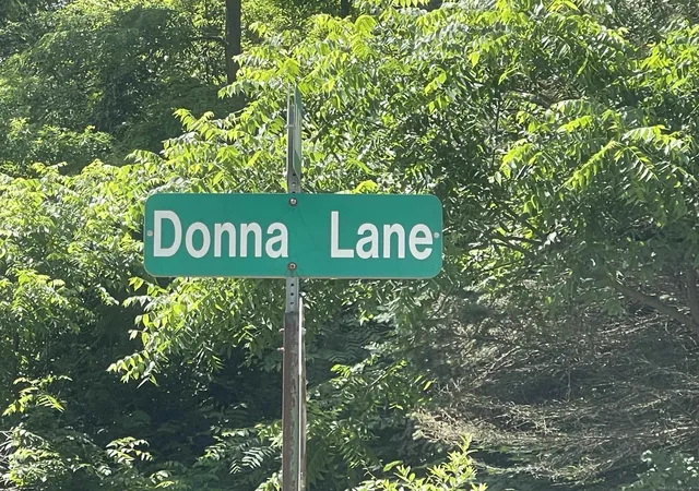 Photo 1 of Land for sale at 0 Donna Ln, Dryden, MI 48428 | MLS# 58050213563 | Listing updated on 2026-07-02