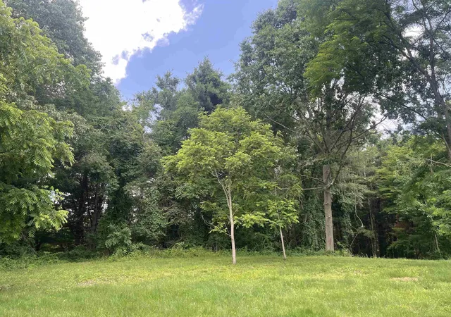 Photo 3 of Land for sale at 0 Donna Ln, Dryden, MI 48428 | MLS# 58050213563 | Listing updated on 2026-07-02