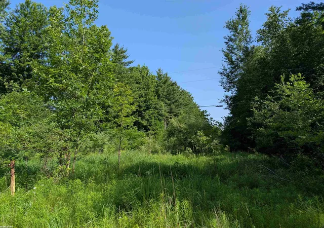 1st image of 0 Burns Line Rd, Croswell, MI 48422 | MLS# 58050213624