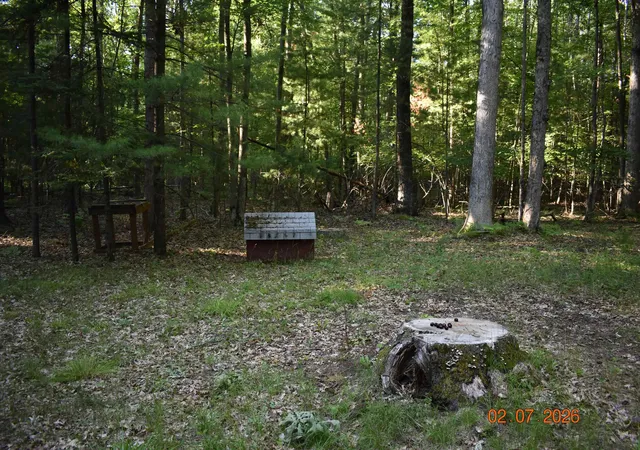 Photo 4 of Single family home for sale at 2425 Cora Ln, Prescott, MI 48756 | MLS# 77080070606 | Listing updated on 2026-07-30