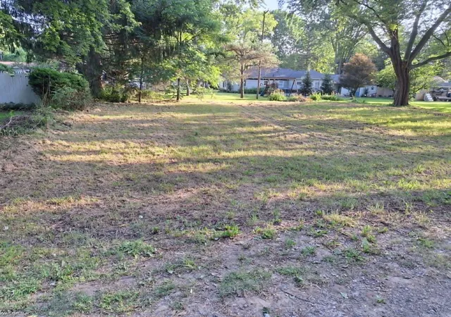 Photo 3 of Land for sale at 00 Birchcrest Rd, Lexington, MI 48450 | MLS# 58050213725 | Listing updated on 2026-07-24