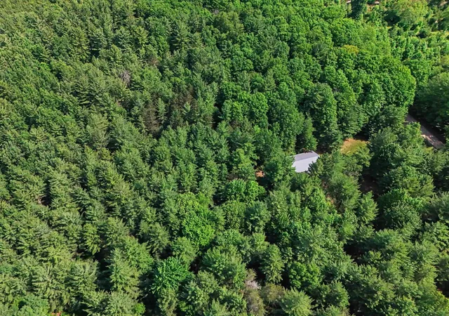 23rd image of 4284 Sw Grand Kal Rd, Fife Lake, MI 49633 | MLS# 78080070639