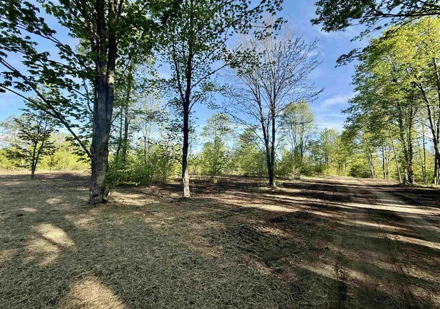Photo 4 of Land for sale at 1155 E Solaris Way, Kasson Township Leelanau, MI 49664 | MLS# 78080070663 | Listing updated on 2026-07-29