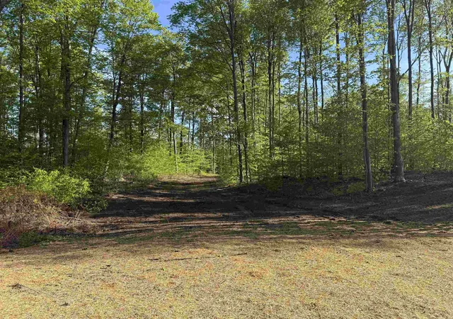 Photo 2 of Land for sale at 1371 E Solaris Way, Kasson Township Leelanau, MI 49664 | MLS# 78080070661 | Listing updated on 2026-07-29