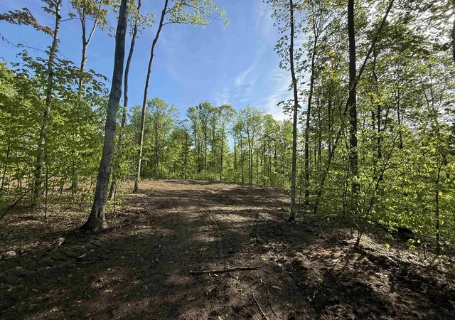 Photo 4 of Land for sale at 1371 E Solaris Way, Kasson Township Leelanau, MI 49664 | MLS# 78080070661 | Listing updated on 2026-07-29