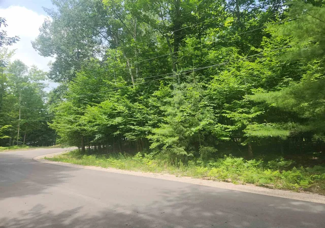 Land for sale at 00 Birch View Trl, Lake Ann, MI 49650 | MLS# 78080070679