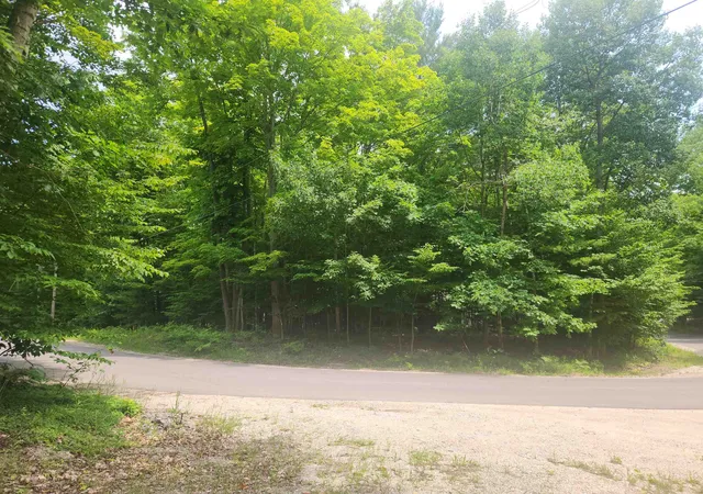 Photo 2 of Land for sale at 00 Birch View Trl, Lake Ann, MI 49650 | MLS# 78080070679 | Listing updated on 2026-07-08