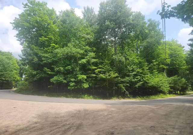 Photo 3 of Land for sale at 00 Birch View Trl, Lake Ann, MI 49650 | MLS# 78080070679 | Listing updated on 2026-07-08