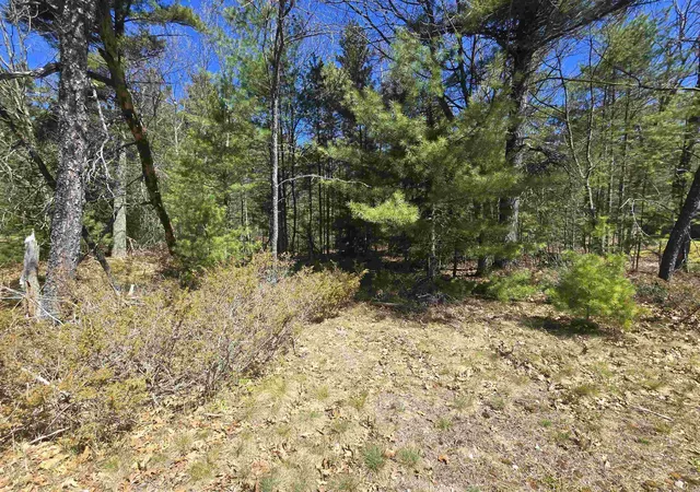 Photo 3 of Land for sale at 4699 Johnson Rd, Oscoda, MI 48750 | MLS# 77080070719 | Listing updated on 2026-09-07