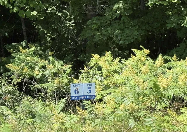 Photo 4 of Land for sale at 1927 N Blue Water Ct, Suttons Bay, MI 49682 | MLS# 78080070721 | Listing updated on 2026-07-09