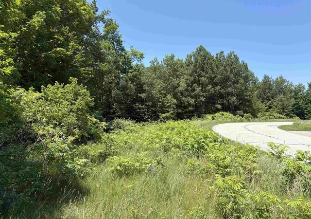 Photo 5 of Land for sale at 1927 N Blue Water Ct, Suttons Bay, MI 49682 | MLS# 78080070721 | Listing updated on 2026-07-09