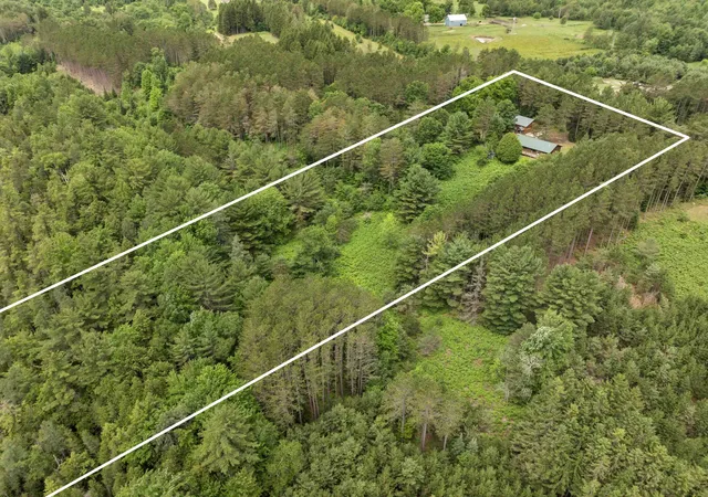 46th image of 19603 Cinder Rd, Interlochen, MI 49643 | MLS# 78080070727