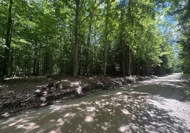 Photo 3 of Land for sale at 00 S V/l 35 Rd, Cadillac, MI 49601 | MLS# 78080070746 | Listing updated on 2026-07-10
