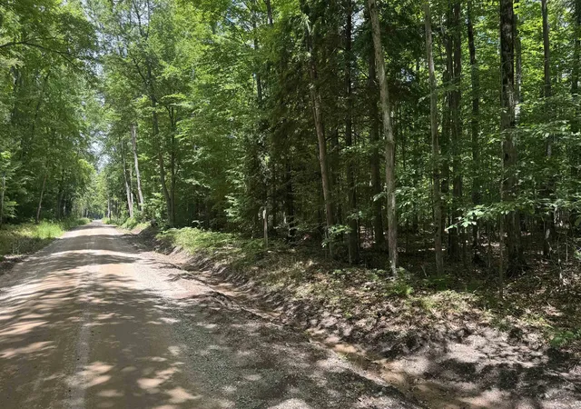 Photo 3 of Land for sale at 00 S V/l 35 Rd, Cadillac, MI 49601 | MLS# 78080070746 | Listing updated on 2026-07-10