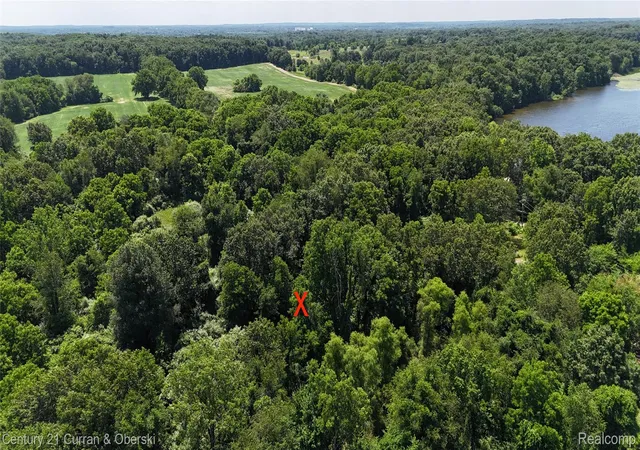 2nd image of 13505 Island Lake Rd, Chelsea, MI 48118 | MLS# 20261051619