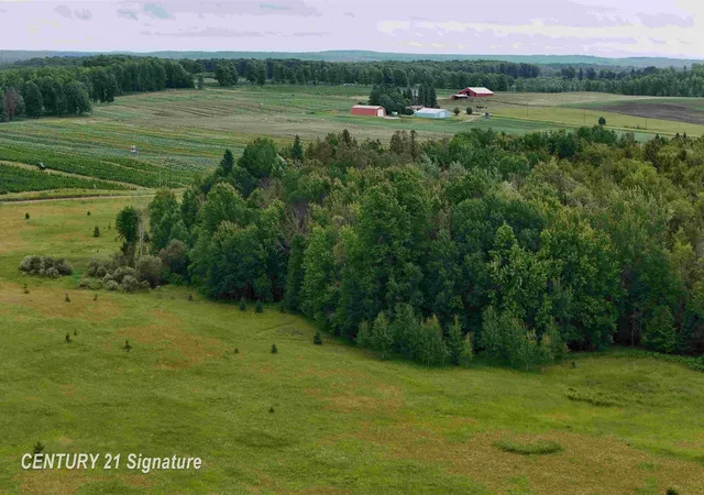 Photo 1 of Sale Pending at V/l County Rd 477, Lakefield Township Luce, MI 49853 | MLS# 61050213986 | Listing updated on 2026-08-24