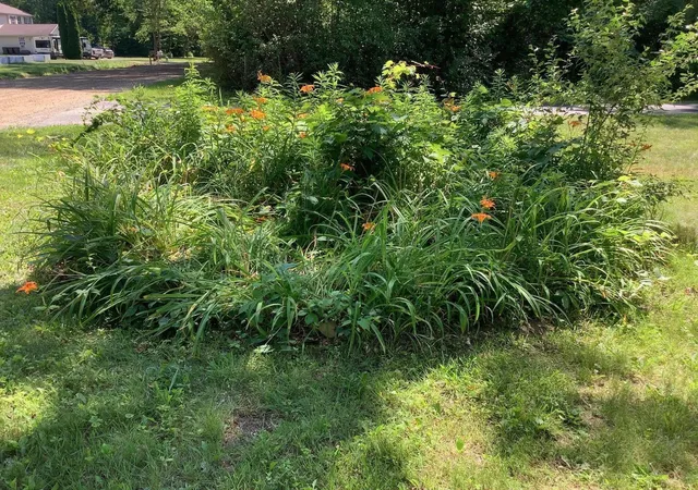 Photo 3 of Single family home for sale at 44481 Dunn Rd, Belleville, MI 48111 | MLS# 81026034230 | Listing updated on 2026-09-01