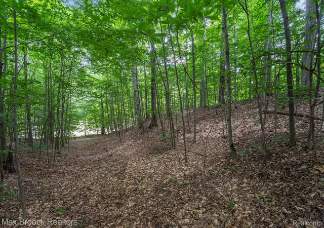 Photo 3 of Land for sale at 0000 Mackinaw Ridge, Kasson Township Leelanau, MI 49630 | MLS# 20261051694 | Listing updated on 2026-07-09