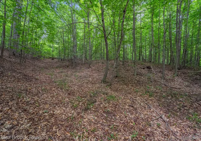 Photo 4 of Land for sale at 0000 Mackinaw Ridge, Kasson Township Leelanau, MI 49630 | MLS# 20261051694 | Listing updated on 2026-07-09