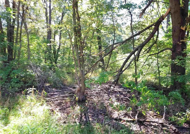Photo 2 of Land for sale at 203 Kirkley Dr, Brooklyn, MI 49230 | MLS# 56050214007 | Listing updated on 2026-07-07