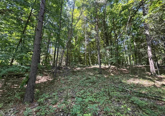 15th image of 0 Torch Lake Drive,sw, Rapid City, MI 49676 | MLS# 78080070765