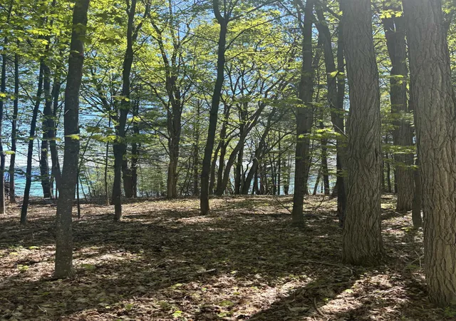 5th image of 0 Torch Lake Drive,Sw, Rapid City, MI 49676 | MLS# 78080070765