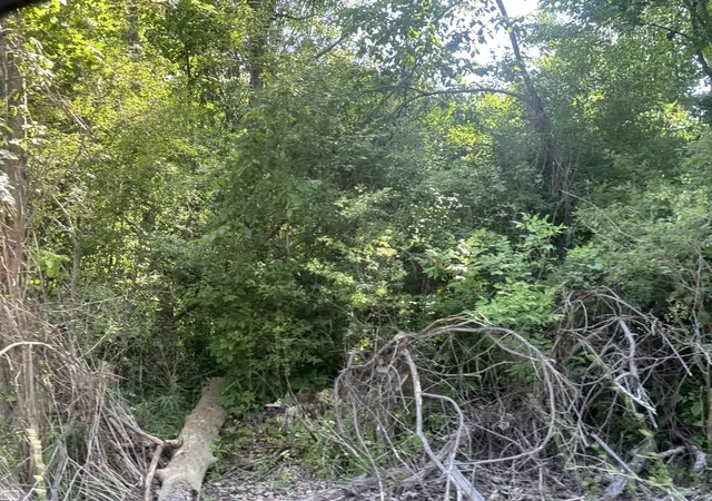 Photo 2 of Land for sale at 0 Bauman Rd, Columbus, MI 48063 | MLS# 58050214044 | Listing updated on 2026-07-31