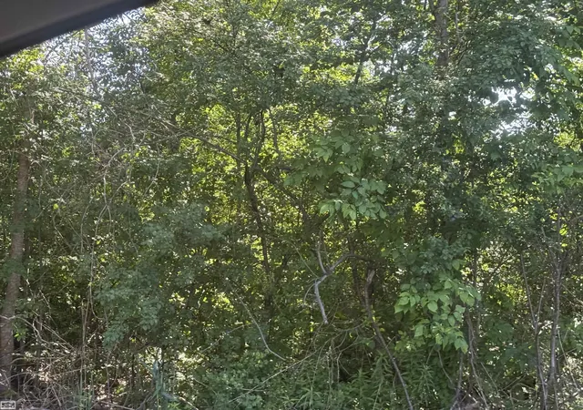 Photo 3 of Land for sale at 0 Bauman Rd, Columbus, MI 48063 | MLS# 58050214044 | Listing updated on 2026-07-31