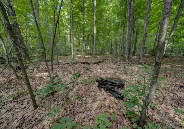 49th image of 223 Pinecrest Ln, Beulah, MI 49617 | MLS# 78080070787