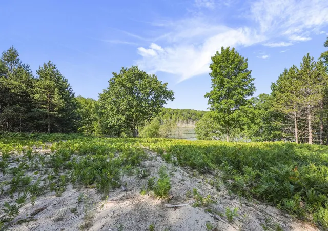 2nd image of 16963 Parcel C Gray Heirs Rd, Almira Township Benzie, MI 49650 | MLS# 78080070799