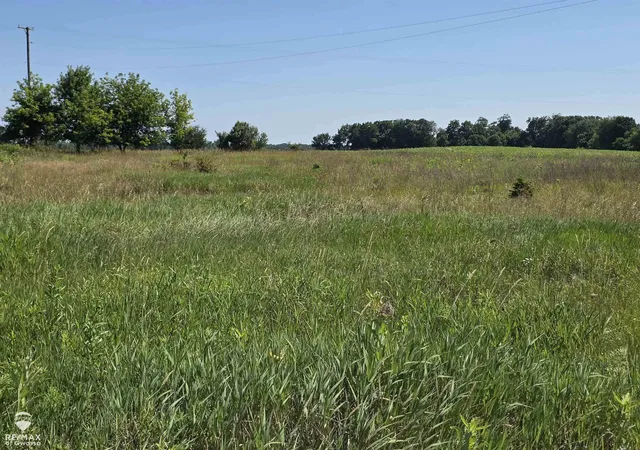 Photo 1 of Land for sale at Garrison Rd, Laingsburg, MI 48848 | MLS# 60050214103 | Listing updated on 2026-07-08