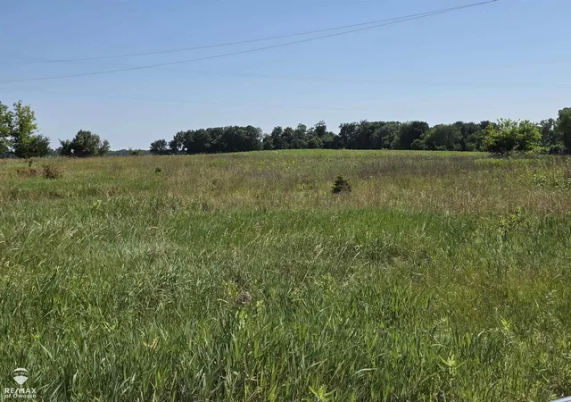 Photo 2 of Land for sale at Garrison Rd, Laingsburg, MI 48848 | MLS# 60050214103 | Listing updated on 2026-07-08