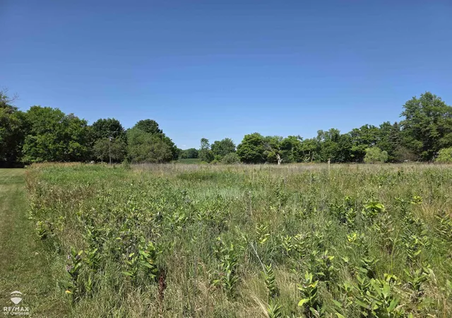 Photo 4 of Land for sale at Garrison Rd, Laingsburg, MI 48848 | MLS# 60050214103 | Listing updated on 2026-07-08