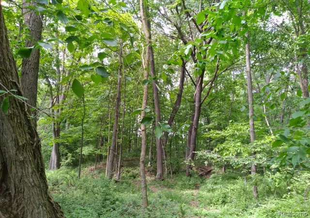 Photo 2 of Land for sale at 000 Rose Hl Rd, Unadilla Township Livingston, MI 48169 | MLS# 20261052163 | Listing updated on 2026-07-09