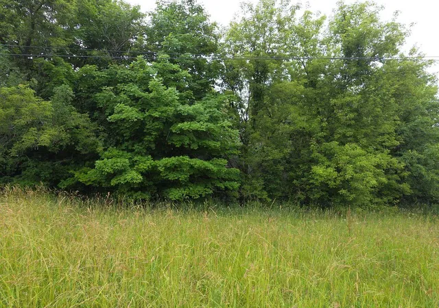 20th image of 10044 8 Mile Rd, Ceresco, MI 49033 | MLS# 62026034941