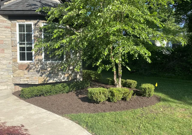 Photo 3 of Single family home for sale at 9915 Wayne Rd, Livonia, MI 48150 | MLS# 81026035065 | Listing updated on 2026-10-01