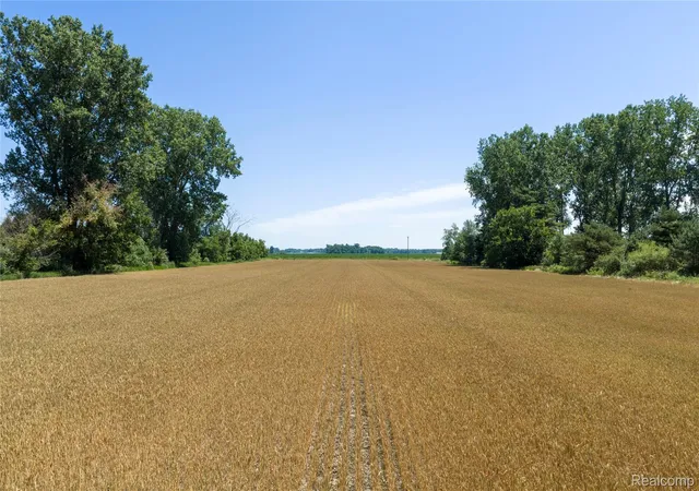 Photo 1 of Land for sale at Parcel A Dodge Rd, Ellington Township Tuscola, MI 48726 | MLS# 20261052871 | Listing updated on 2026-07-10