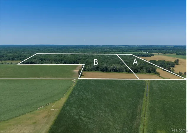 Photo 2 of Land for sale at Parcel A Dodge Rd, Ellington Township Tuscola, MI 48726 | MLS# 20261052871 | Listing updated on 2026-07-10