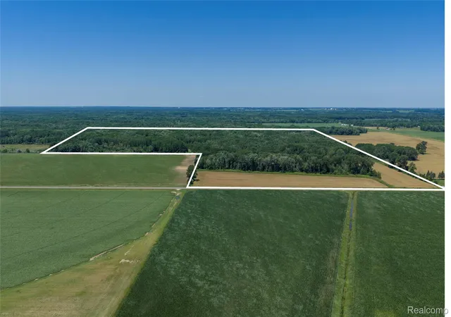 Land for sale at 000 Dodge Rd, Cass City, MI 48726 | MLS# 20261052890